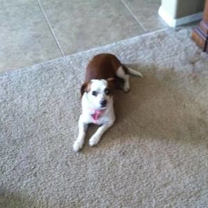 Meet your Posher, Paulette